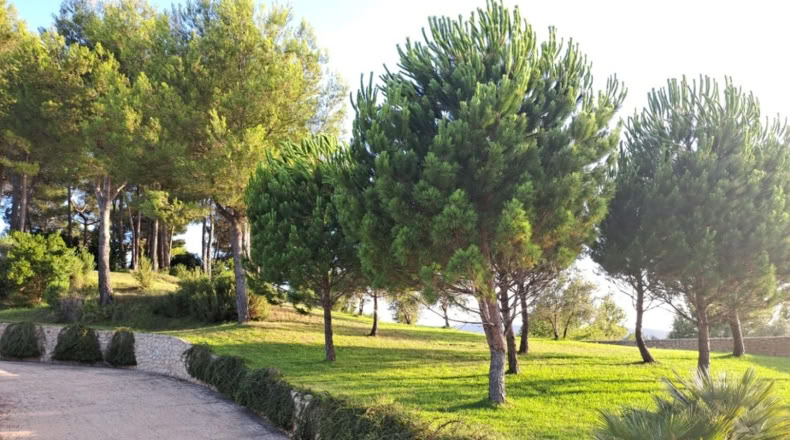 Alicante - Penáguila - 540000m2