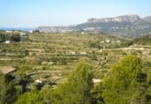 Terreny no urbanitzable en venda a la España, Benissa, ref.: TR91178 foto