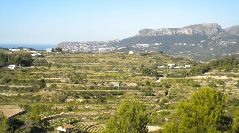 Alicante - Benisa - 14574m2