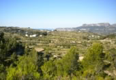 Terreny no urbanitzable en venda a la España, Benissa, ref.: TR91178 foto