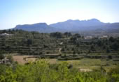 Terreny no urbanitzable en venda a la España, Benissa, ref.: TR91178 foto