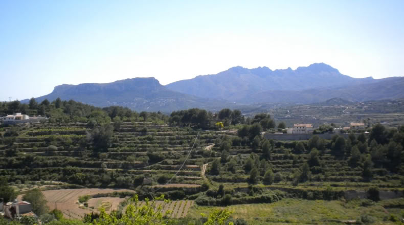 Alicante - Benisa - 14574m2