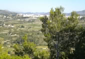 Terreny no urbanitzable en venda a la España, Benissa, ref.: TR91178 foto