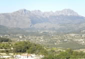 Terreny no urbanitzable en venda a la España, Benissa, ref.: TR91178 foto
