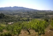 Terreny no urbanitzable en venda a la España, Benissa, ref.: TR91178 foto