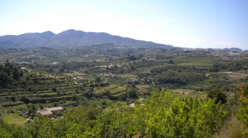 Alicante - Benisa - 14574m2