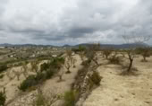 Terreny no urbanitzable en venda a la España, Benissa, ref.: TR91178 foto