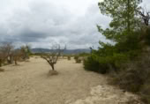 Terreny no urbanitzable en venda a la España, Benissa, ref.: TR91178 foto