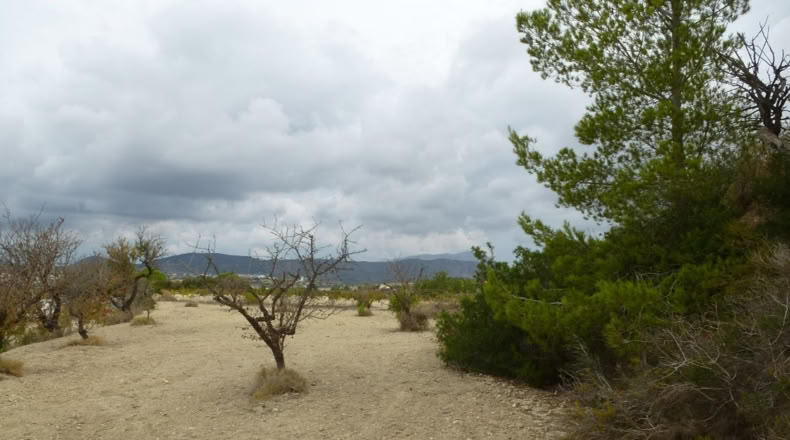 Alicante - Benisa - 14574m2