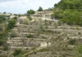 Terreny no urbanitzable en venda a la España, Benissa, ref.: TR91178 foto