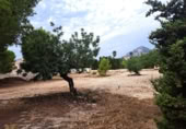 Suelo urbano en venta en la España, La Nucia, ref: TR91173 foto
