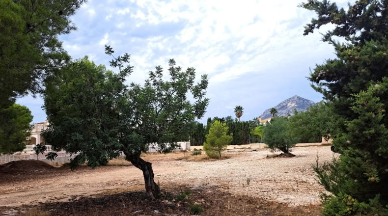Alicante - la Nucia - 1570m2