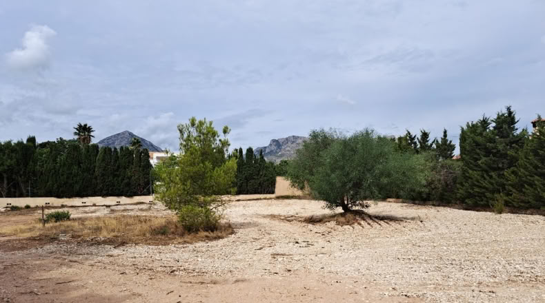 Alicante - la Nucia - 1570m2