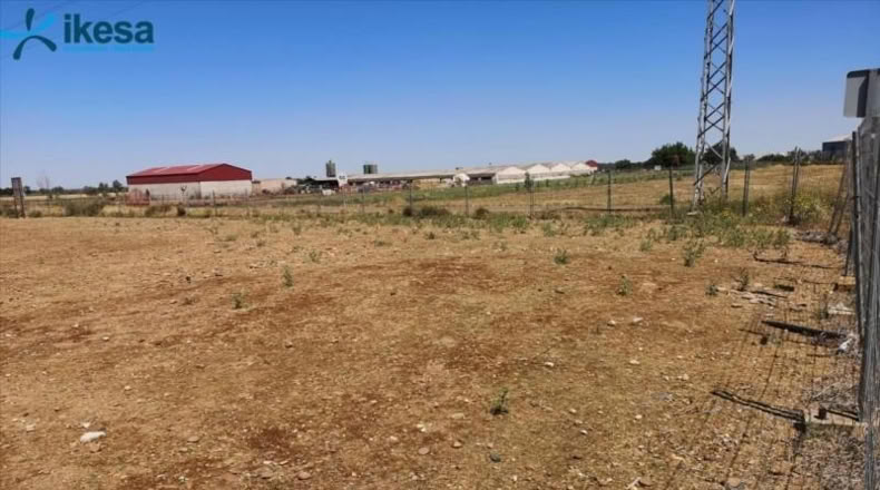 Badajoz - Талавера-ла-Реаль - 3506m2