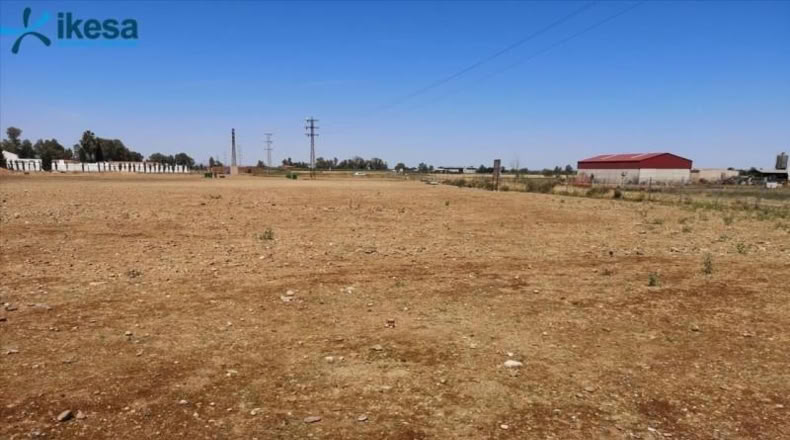 Badajoz - Талавера-ла-Реаль - 3506m2