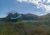 Parcel·la urbanitzable en venda a la España, Bédar, ref.: TR283186 foto