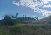Parcel·la urbanitzable en venda a la España, Bédar, ref.: TR283186 foto