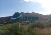 Parcel·la urbanitzable en venda a la España, Bédar, ref.: TR283186 foto