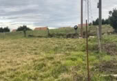 Land suitable for development for sale on España, Santa Cruz de Bezana, ref: TR319531 photo
