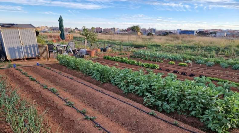 Valencia - Torrente - 50m2