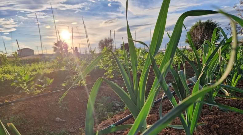 Valencia - Torrente - 50m2
