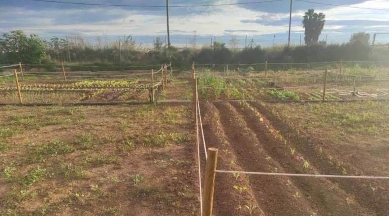 Valencia - Alacuás - 100m2