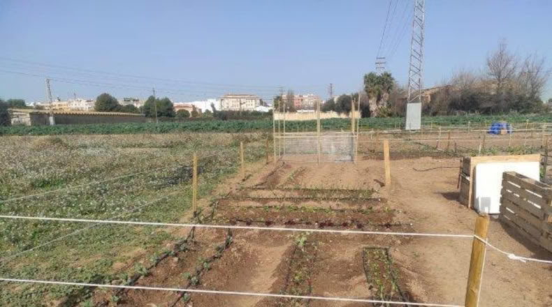 Valencia - Alacuás - 100m2