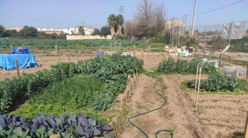 Valencia - Alacuás - 100m2