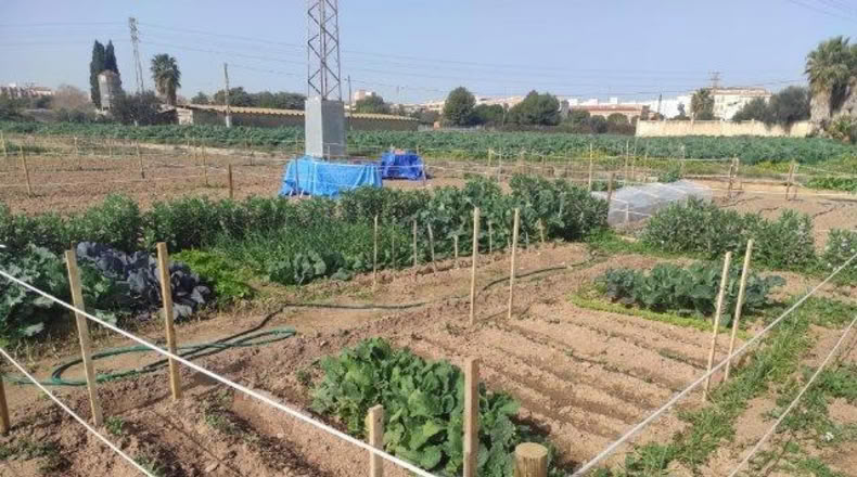 Valencia - Alacuás - 100m2