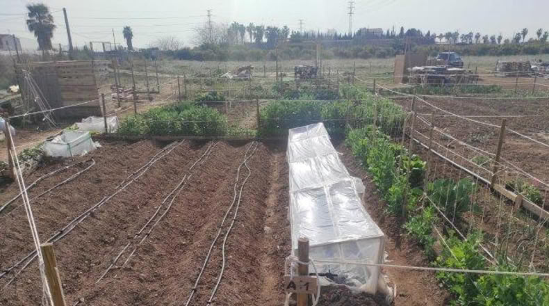 Valencia - Alacuás - 100m2