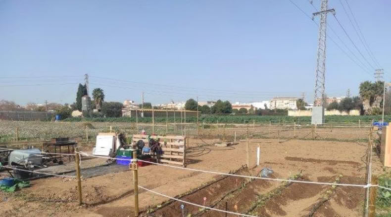 Valencia - Alacuás - 100m2