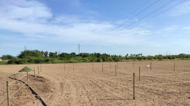 Valencia - Alacuás - 100m2