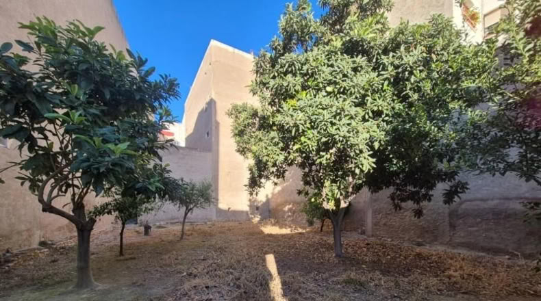 Murcia - Mula - 386m2