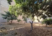 Sòl urbà en lloguer a la España, Mula, ref.: TR300125 foto