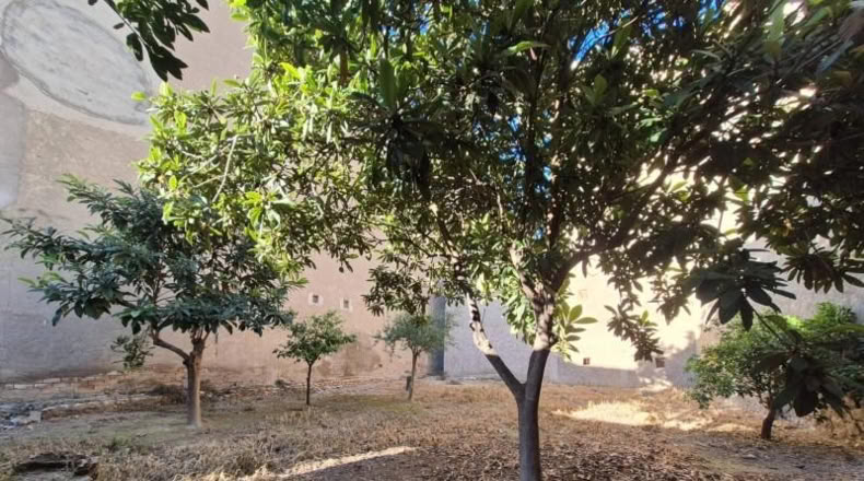 Murcia - Mula - 386m2