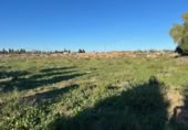 Terreno no urbanizable en alquiler en la España, San Javier, ref: TR346697 foto
