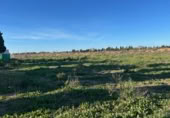 Terreno no urbanizable en alquiler en la España, San Javier, ref: TR346697 foto