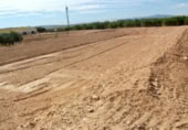 Non-developable land for rent on España, Fuente Álamo, ref: TR322663 photo