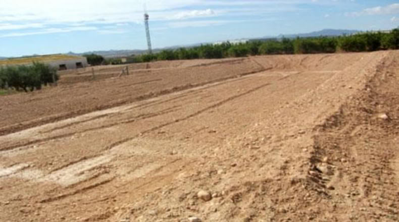 Murcia - Fuente Álamo de Murcia - 5203m2