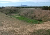 Non-developable land for rent on España, Fuente Álamo, ref: TR322663 photo