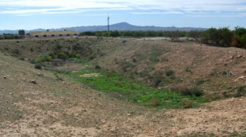 Murcia - Fuente Álamo de Murcia - 5203m2