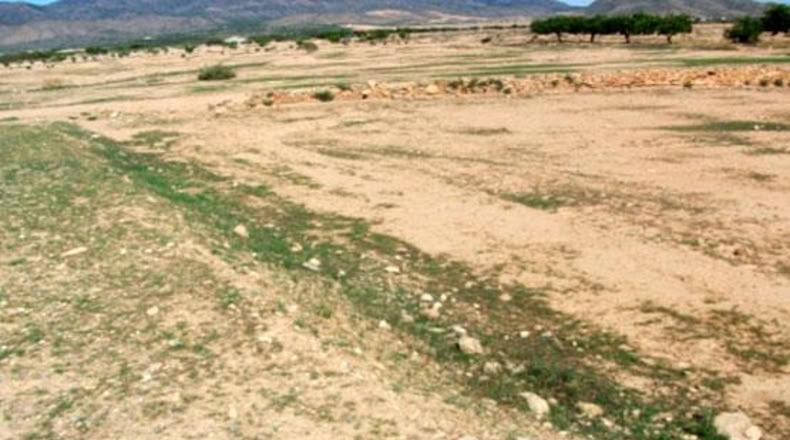 Murcia - Fuente Álamo de Murcia - 5203m2