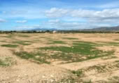 Non-developable land for rent on España, Fuente Álamo, ref: TR322663 photo