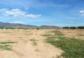 Non-developable land for rent on España, Fuente Álamo, ref: TR322663 photo