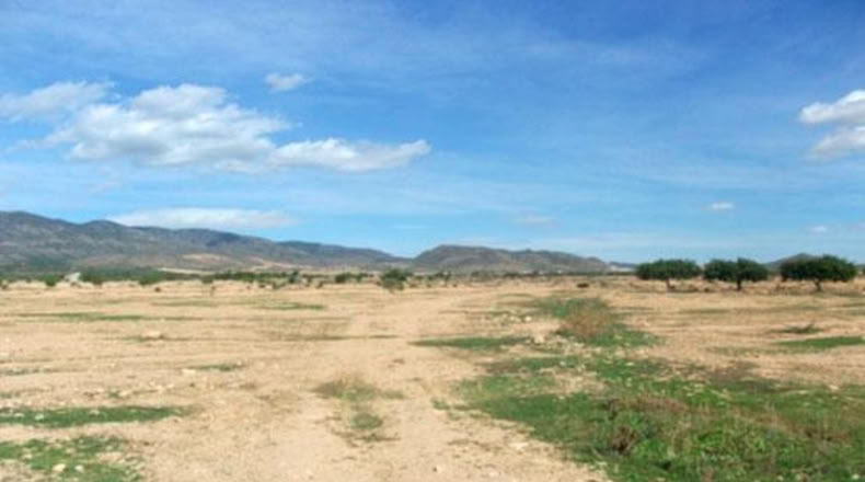 Murcia - Fuente Álamo de Murcia - 5203m2