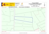 Non-developable land for rent on España, Fuente Álamo, ref: TR322663 photo