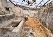 Non-developable land for rent on España, Las Palmas, ref: TR345066 photo