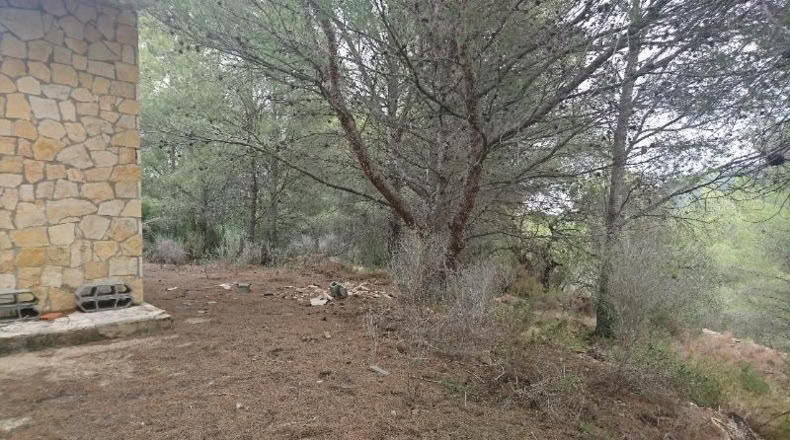 Castellón - Cabanes - 255835m2