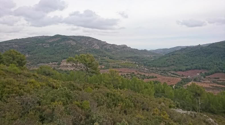 Castellón - Cabanes - 255835m2