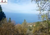 Non-developable land for sale on Tagomate, El Pueblo, ref: TR108194 photo